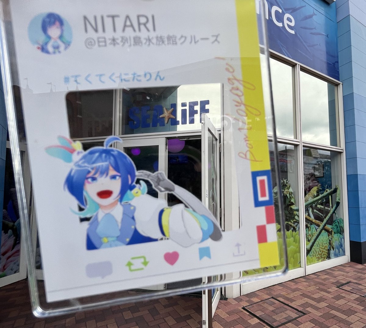 めろこ様【357】スフィア台座♡イルカ貝 めろこ様【357】スフィア台座♡イルカ貝