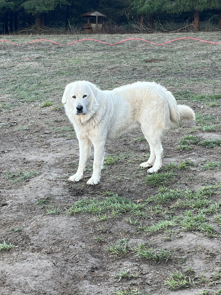 so_caffeinated tweet media