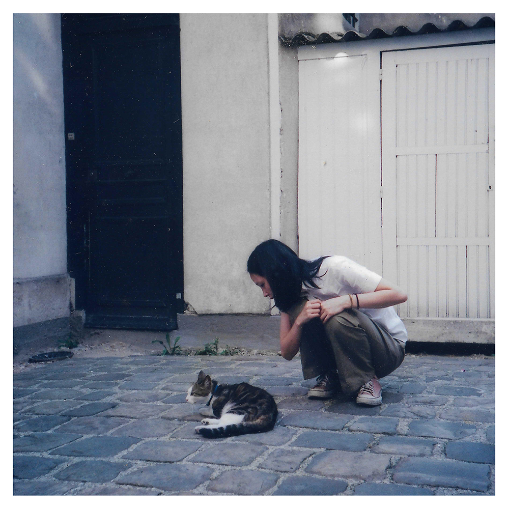 오늘 새 싱글 <고양이와 춤을>을 발매했습니다.