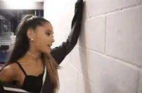 sofveck's tweet image. yo hablándole a mis mutis