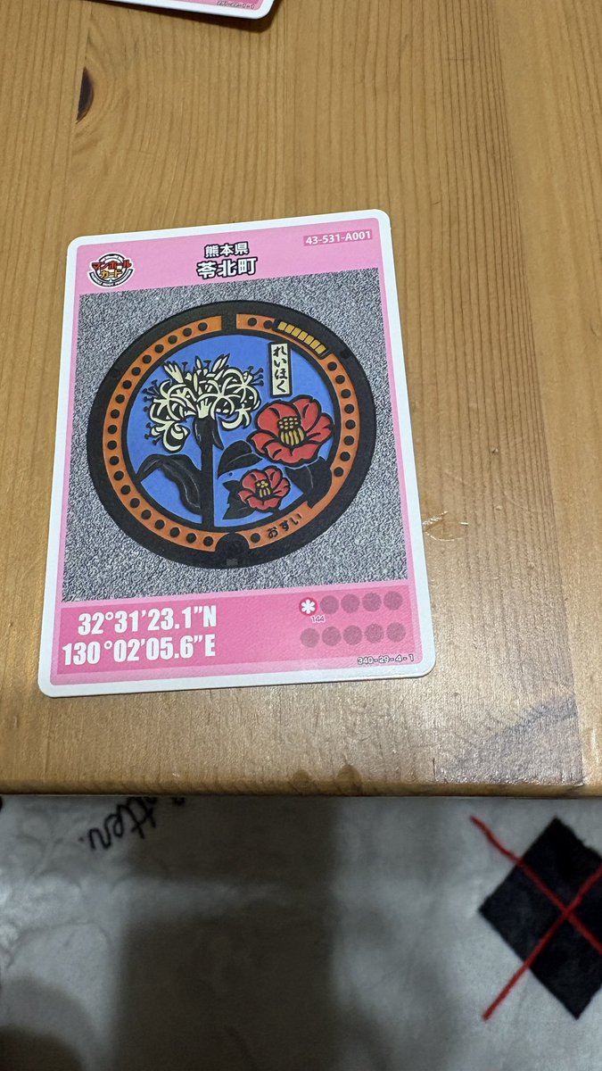 PKsetch's tweet photo. 天草に行ってイルカウォッチングする予定だったが現れる場所に居ない！99、9%見れるって聞いたのにこう言う日をレアって言うらしい。それで富岡港船客待合所でマンホールカード貰いに行った。遠くまで来て見れなかったのはほんと残念。 https://t.co/lfvy8rseoS