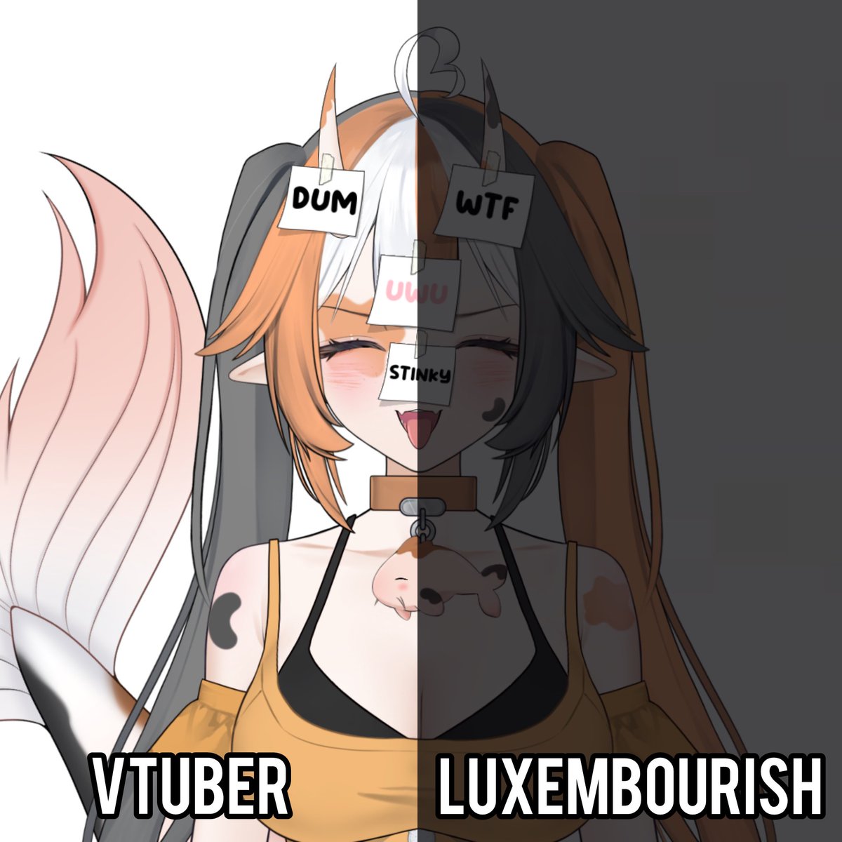 Ich habe zwei Seiten hehe 🇱🇺👀