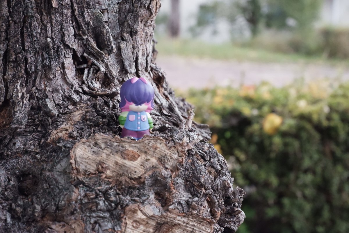 物静かで利発な少女 tweet media