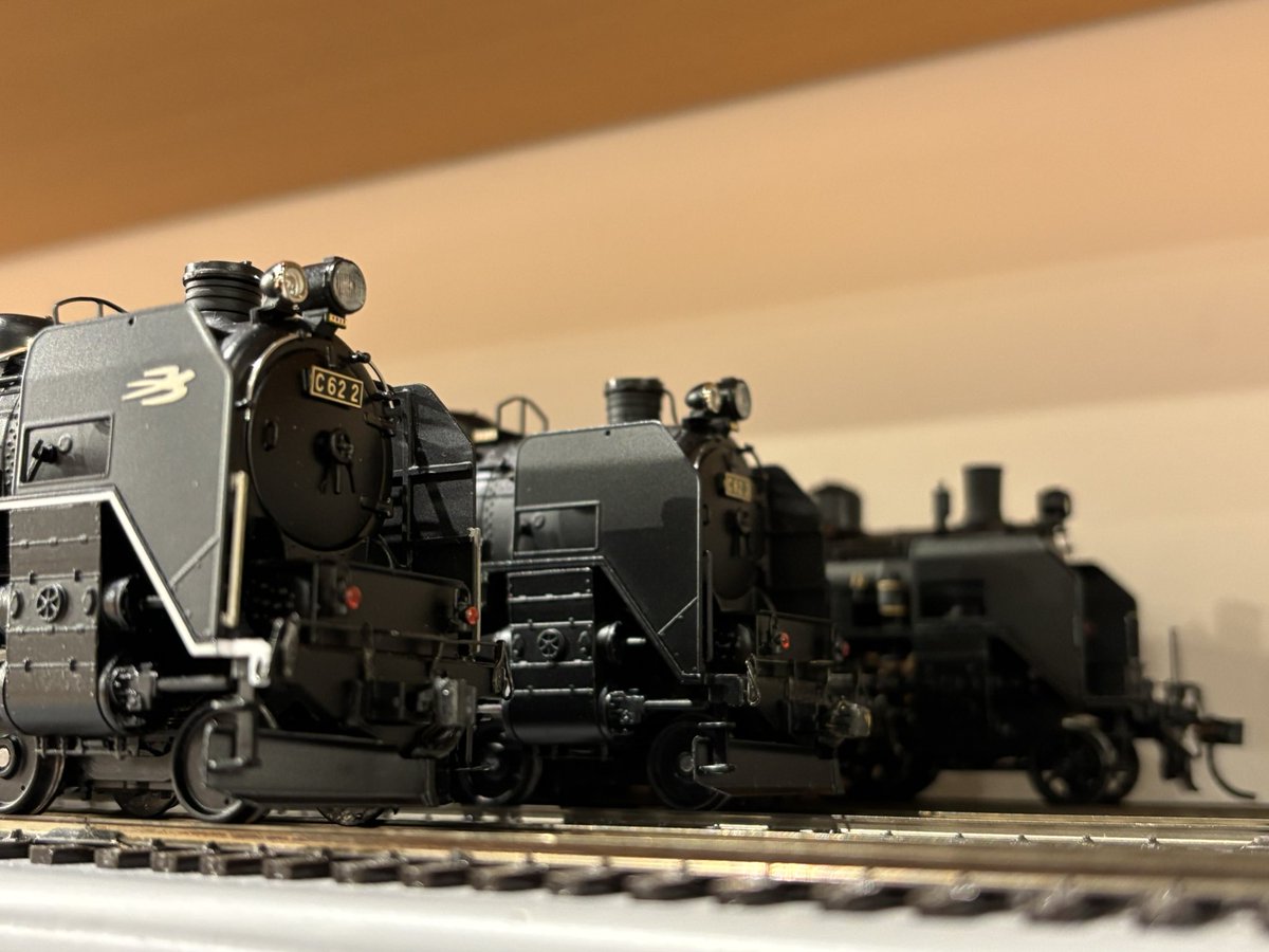 clarinic's tweet image. 虫干し？みたいな感覚ですが大きい方の模型を動かしました

#天賞堂
#Models IMON