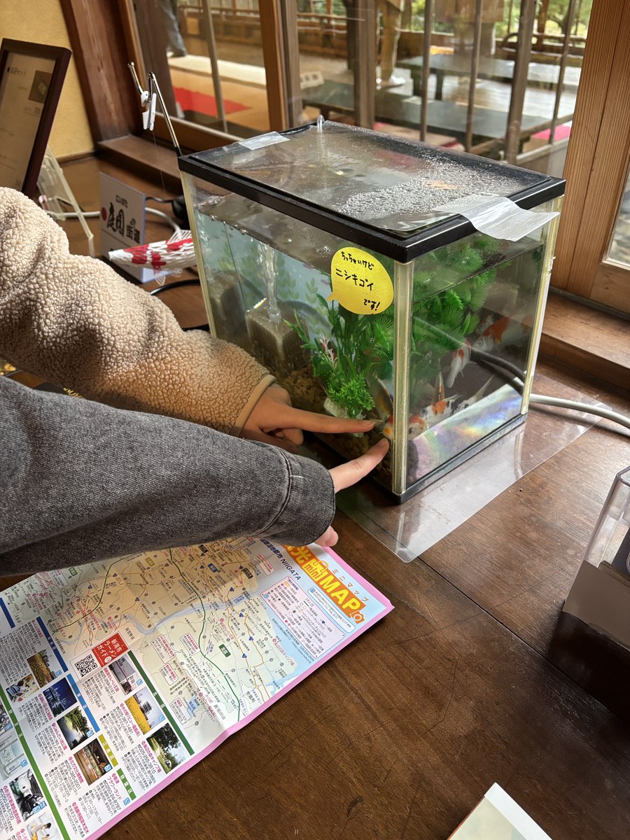 Nnikken's tweet photo. 1年生、校外研修に行ってきました！11月とは思えない急な寒さでしたが🍁💦沢山建築を学んできました😊✨
#新潟日建工科専門学校
#建築 https://t.co/iONsCV6OvB