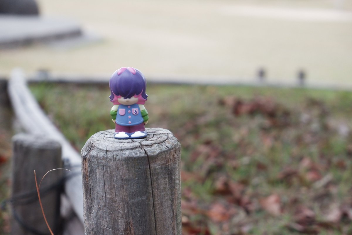 物静かで利発な少女 tweet media