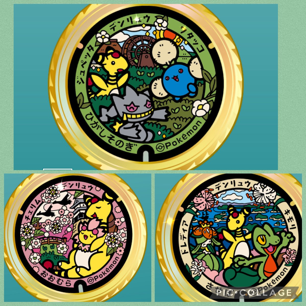 ポケモンHOME ポケふたメダル 長崎県 ひがしそのぎ おおむら させぼ