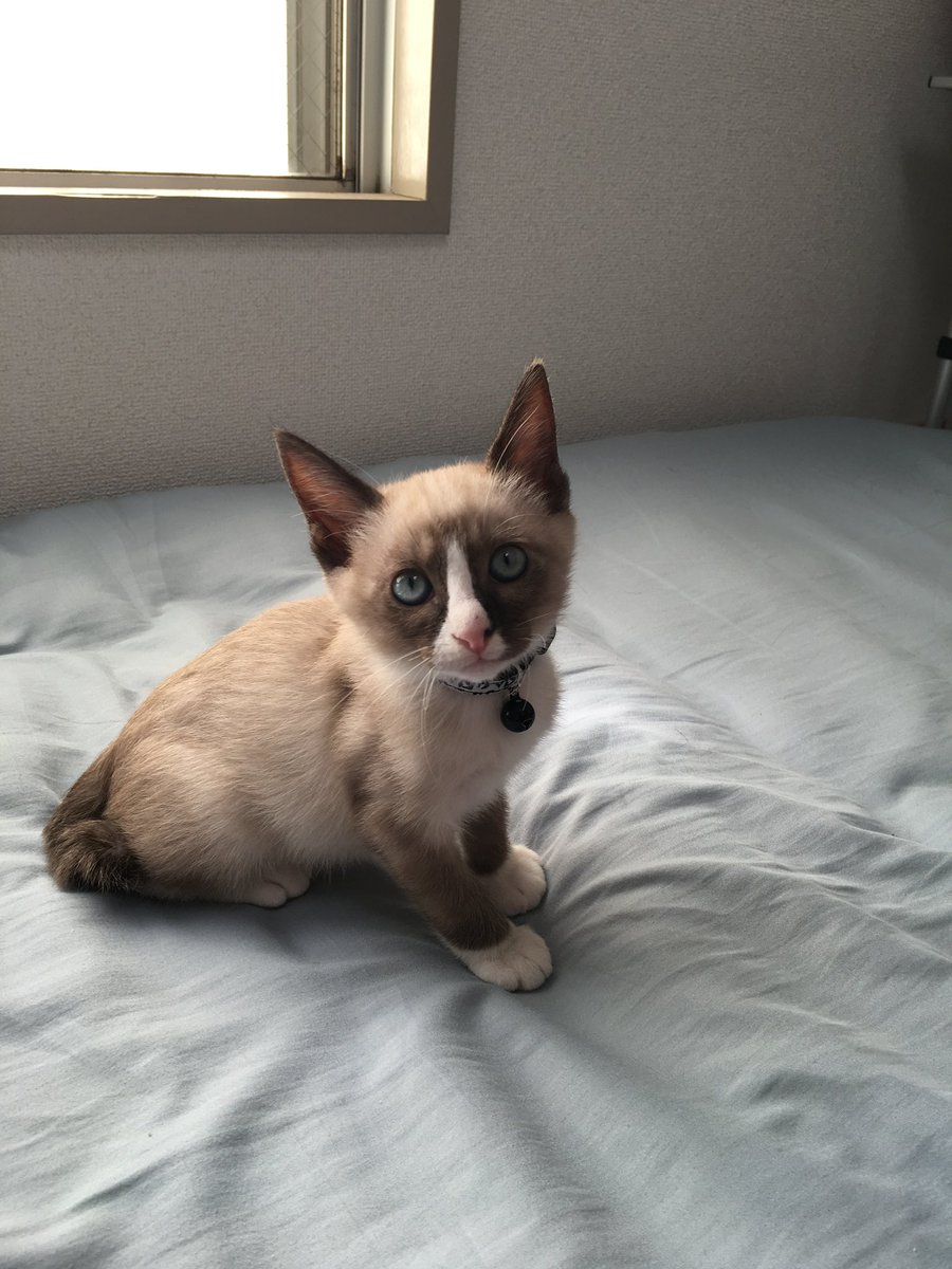 megu。 (@06_sick) / Posts / X