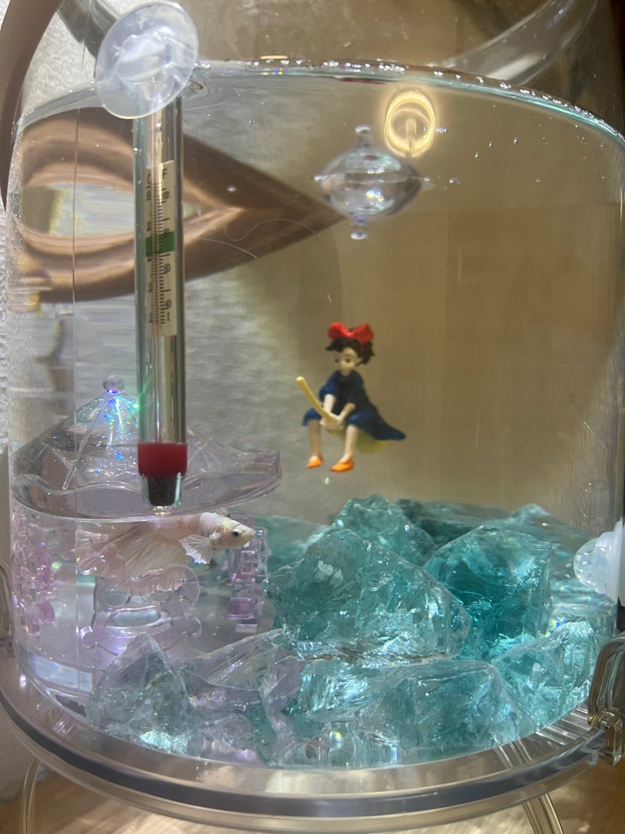 xepyodgwt's tweet image. まだ隠れている😊