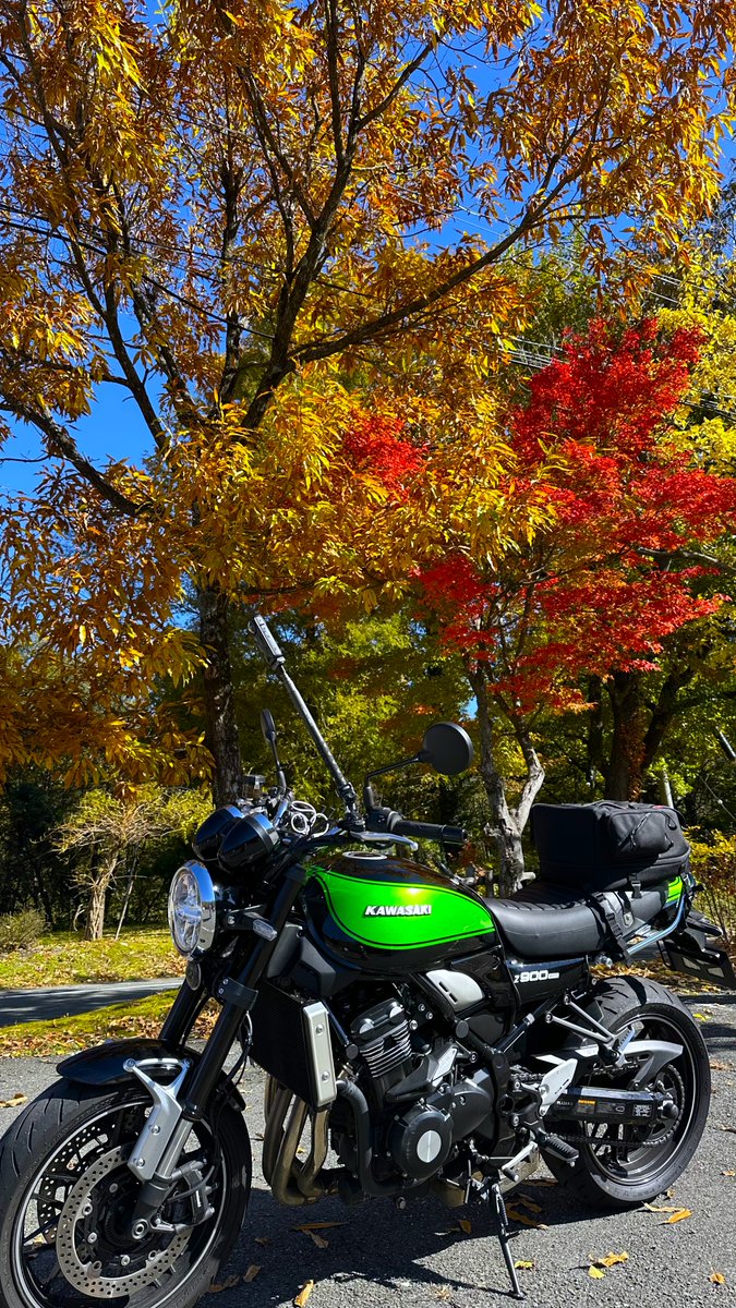 今日はネキ通りでひんやりだね 三連休は厳しいかも🦆(; ・`д