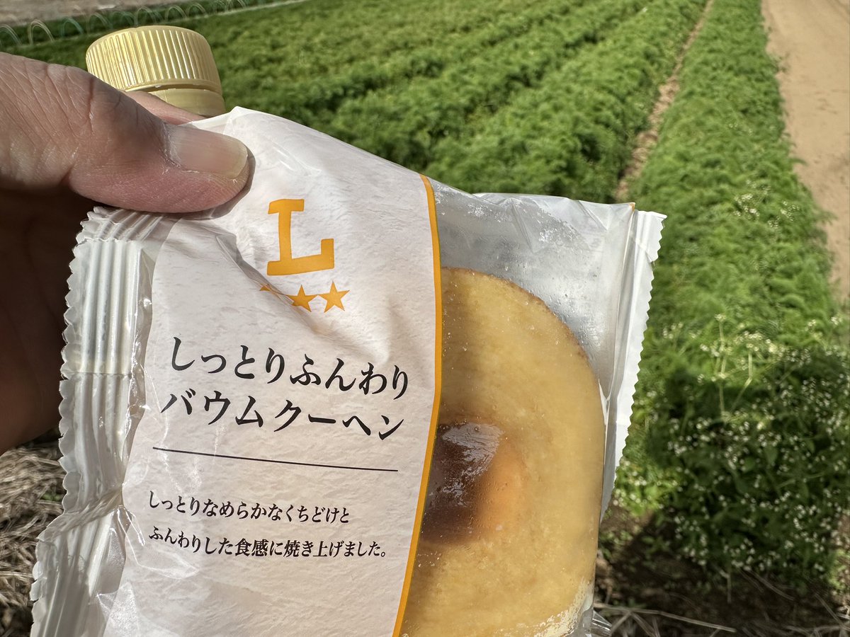 vifsWaSddrCitsk's tweet image. 今日はローソンの『しっとりふんわりバウムクーヘン』を食った
バターの香りは皆無なのに、なぜかオイリーさは強烈でベットベト。なんか油分入れとる。たぶんこの濃密な感じがしっとり感を出しとるんやろね。でもこれが良い、甘味もしっかりあって好き。
424キロカロリー
#バウムペコリン部