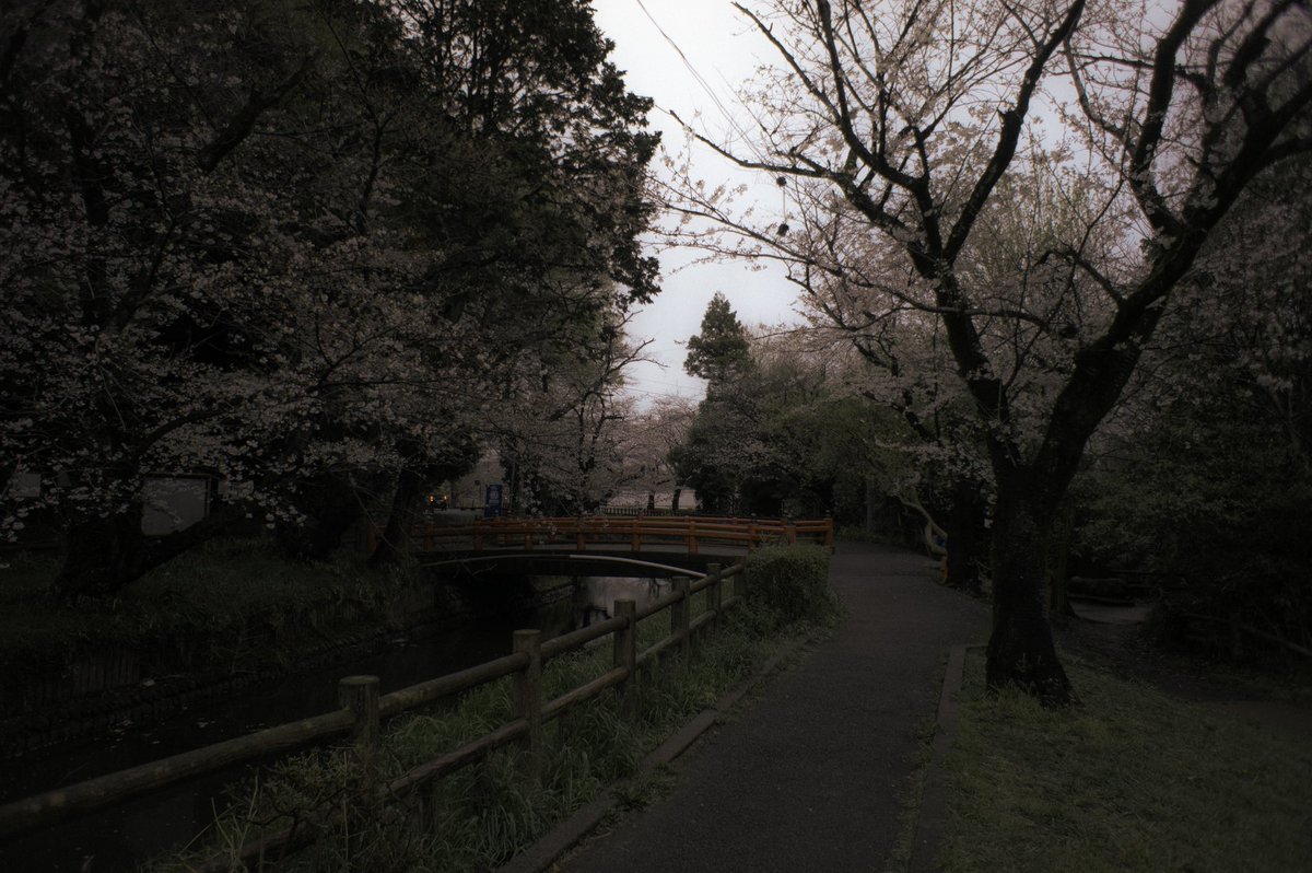 n55_pafu's tweet image. 