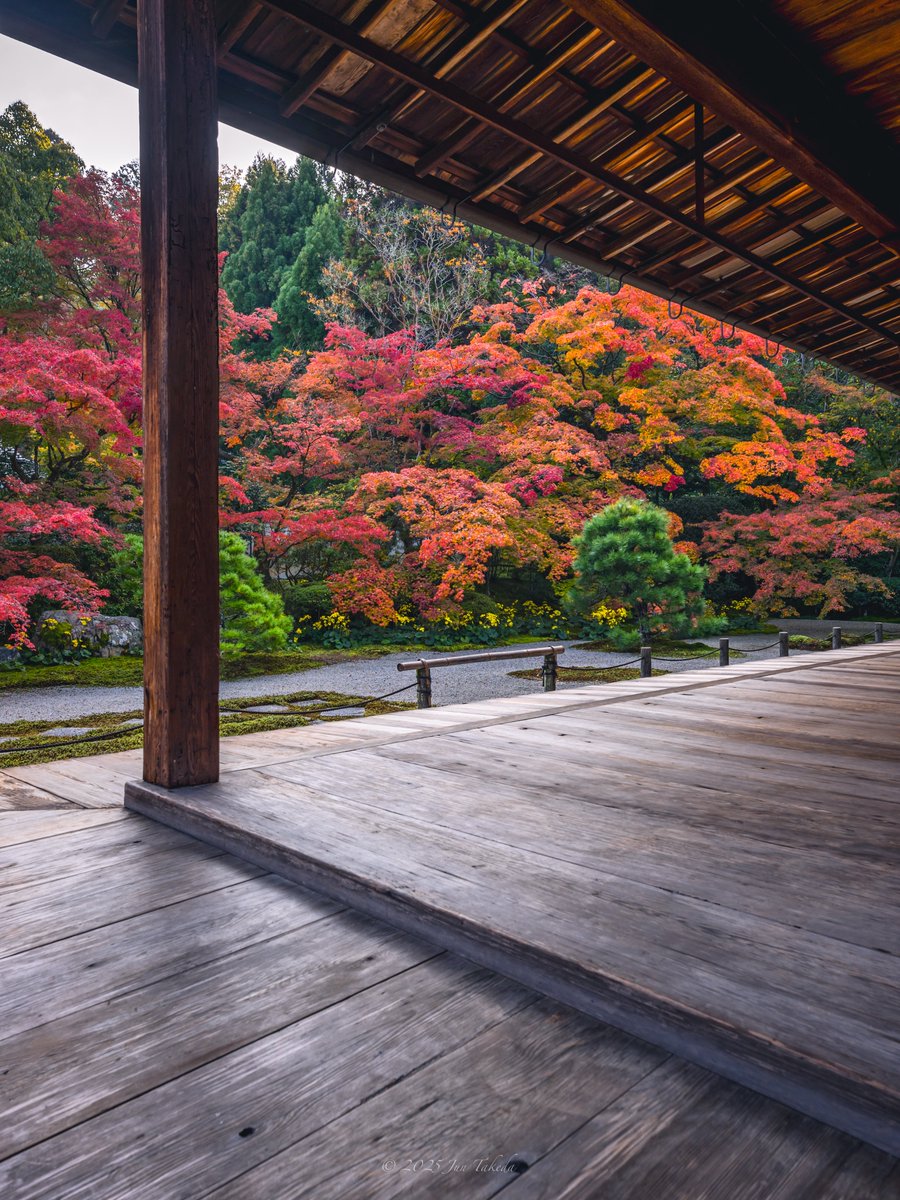 man_tac's tweet photo. 京都南禅寺天授庵さんの紅葉🍁
2025.11.14撮影

#京都よきかな 
Leica SL2-S x SIGMA 16-28mm F2.8 DG DN | Contemporary https://t.co/RtkSnxcnfZ