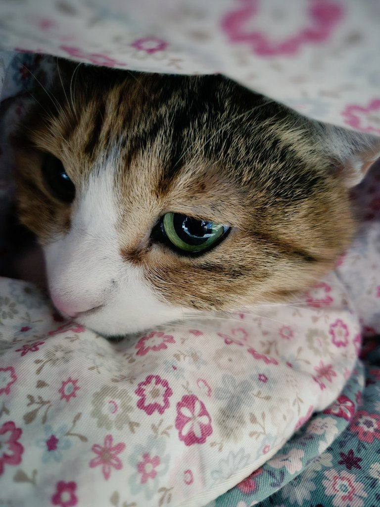 엄마의 사진 찍는 실력이 늘었다ㅋㅋㅋ