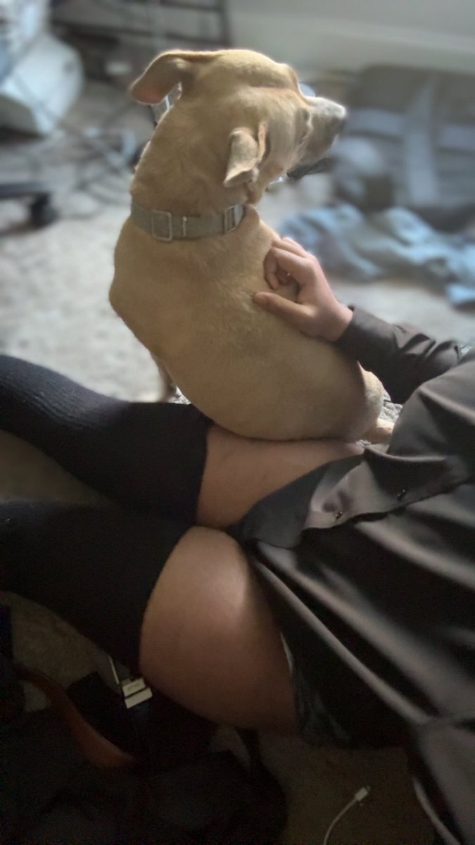 puppy_goodboy0's tweet image. more thighs cuz why not :3   yes, praise will be appreciated