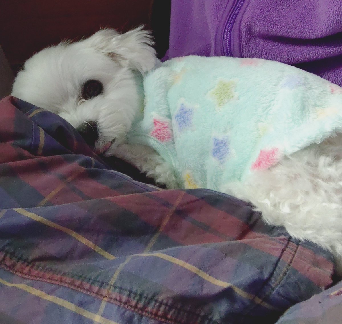 にこまる (@6yQgZFNMNk76215) / Posts / X