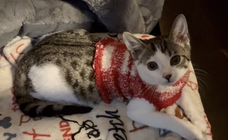 Fortnitemew's tweet image. Fortnite sock sweater throwback 🥹 these are my favorite pictures of my boy , who remembers?