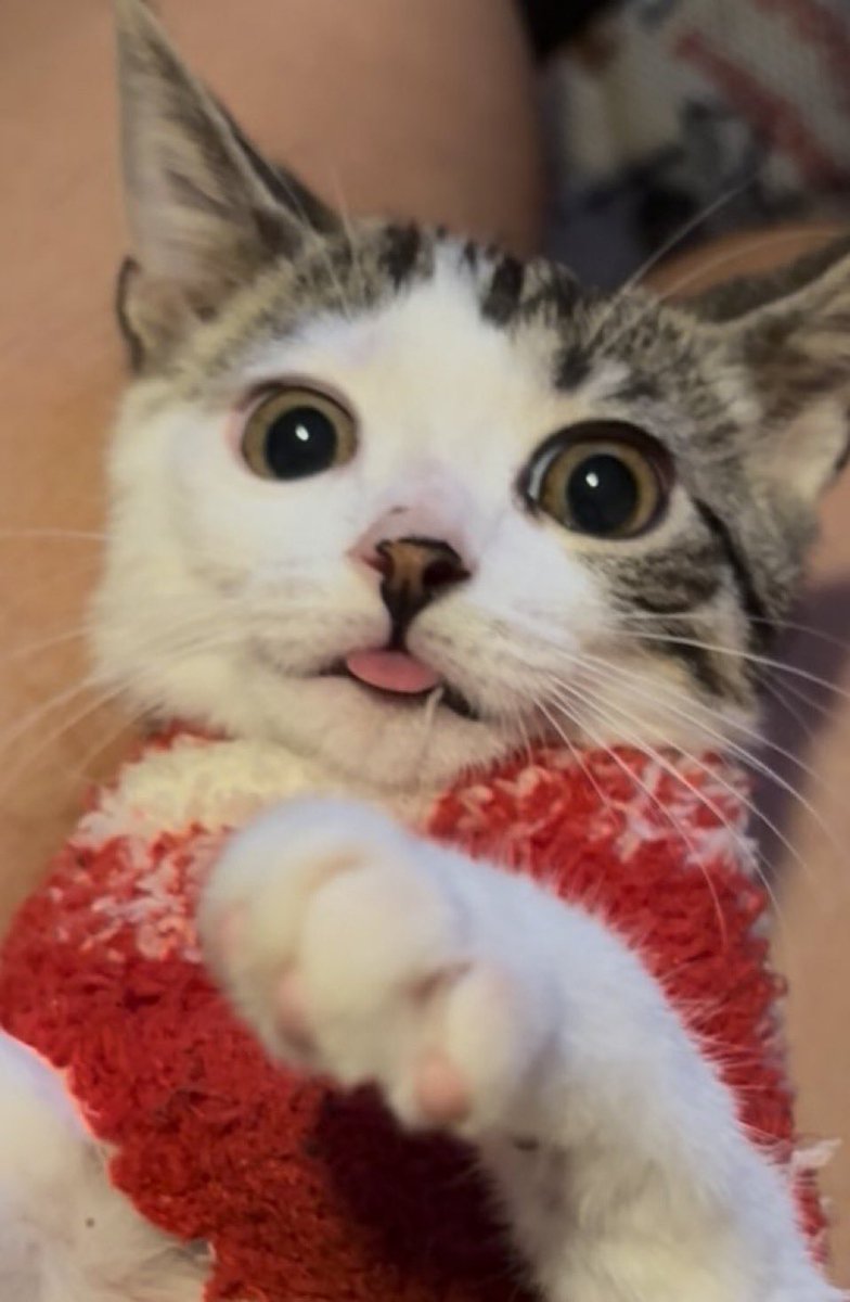 Fortnitemew's tweet image. Fortnite sock sweater throwback 🥹 these are my favorite pictures of my boy , who remembers?