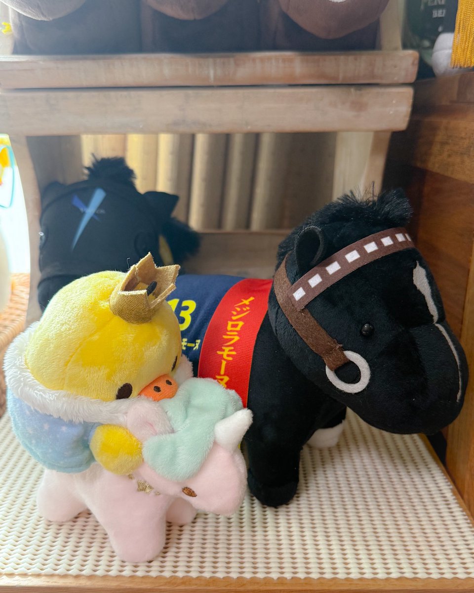 E3%83%A1%E3%82%B8%E3%83%AD%E3%83%A9%E3%83%A2%E3%83%BC%E3%83%8C