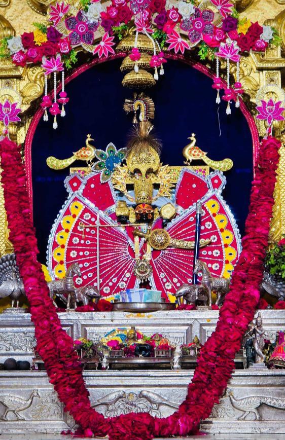 Advpravin1 (@advpravin111) on Twitter photo 