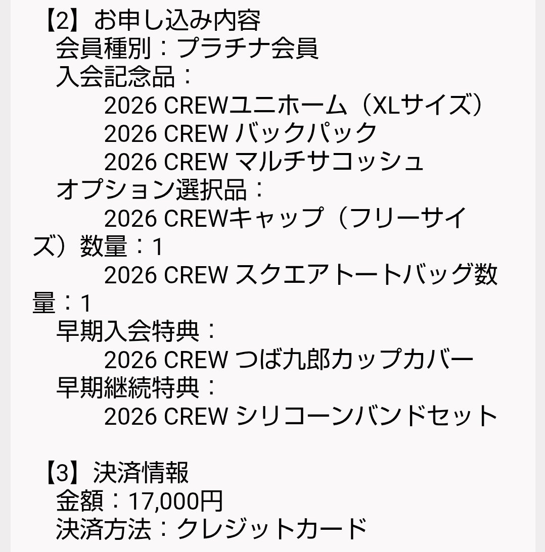 何度入力してもクレジットカードの決済ができずしまいにはエラー画面