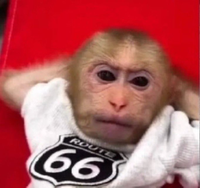 seamchc's tweet image. não ha nada que eu odeie mais do que aquilo que eu não posso ter