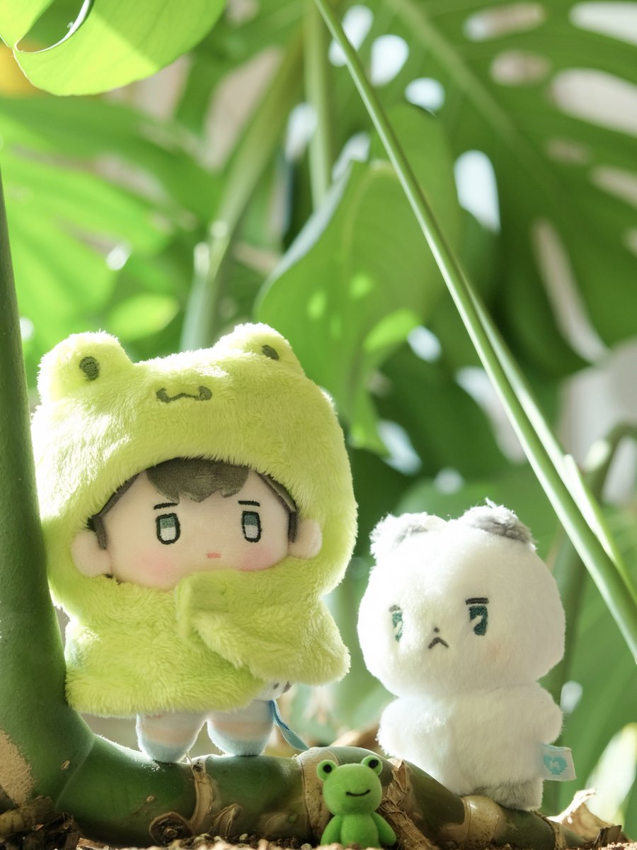 함구리  •̄  ̯ •̄