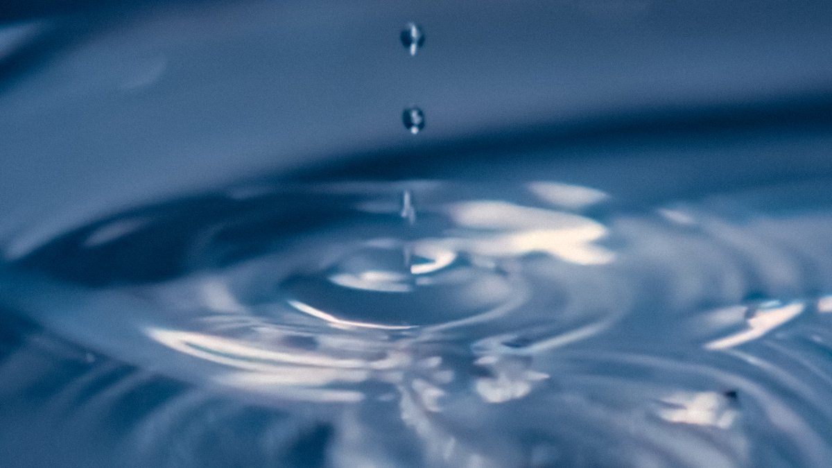 miyanosun's tweet image. 1/f