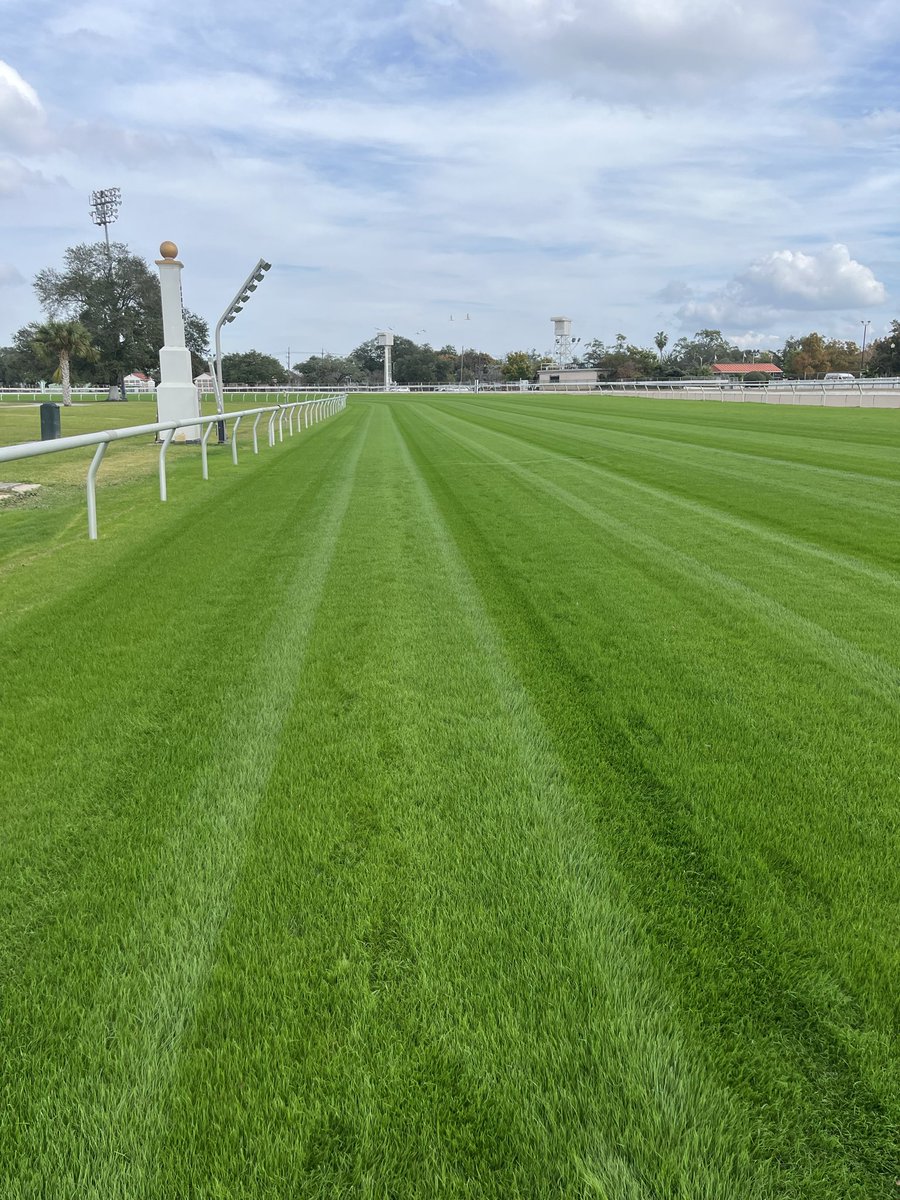 Gary Palmisano tweet media