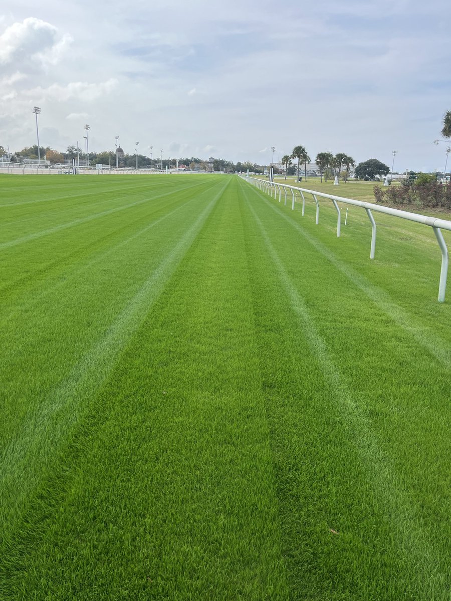 Gary Palmisano tweet media