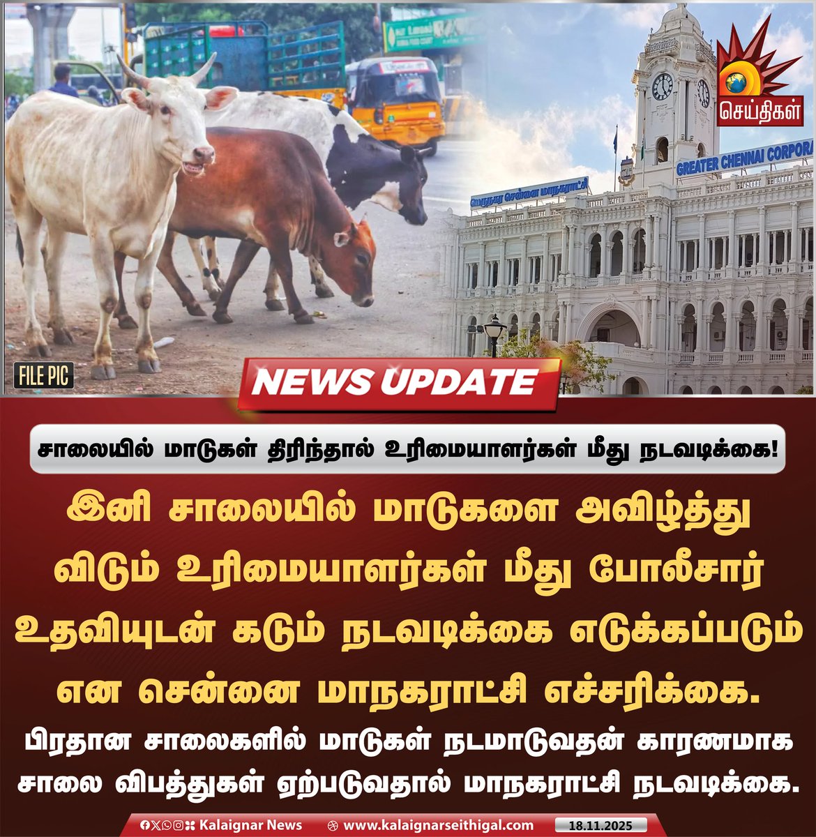 Kalaignarnews's tweet image. சாலையில் மாடுகள் திரிந்தால் உரிமையாளர்கள் மீது நடவடிக்கை ! 

#cows #ChennaiCorporation #accidents #roads #KalaignarSeithigal
