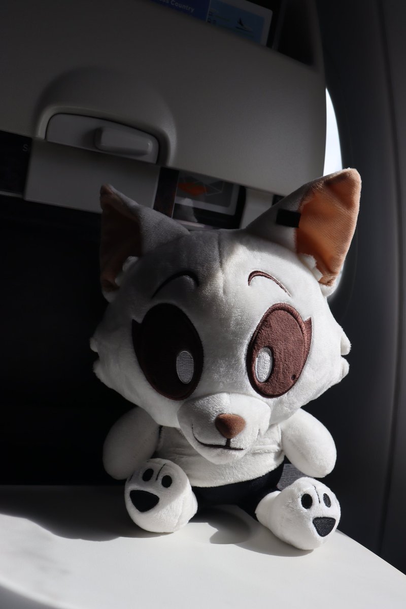 SleepyFox🐾⚓️ tweet media