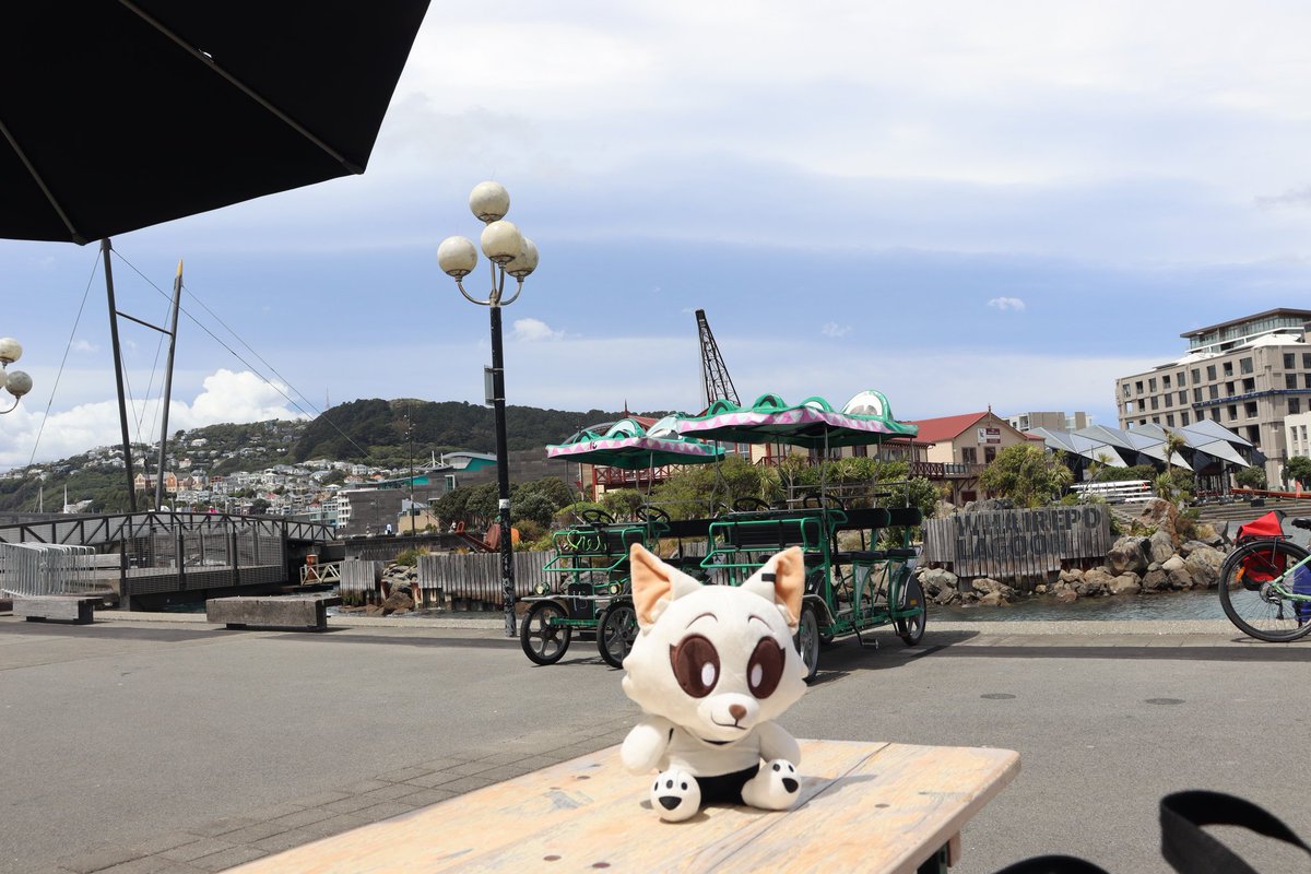 SleepyFox🐾⚓️ tweet media