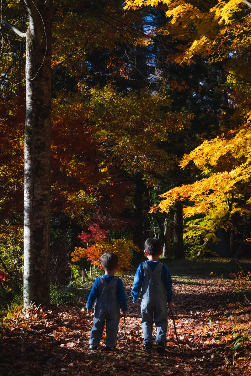 子どもは森が似合うなぁ！😆