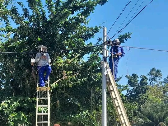 elizalarc88's tweet image. La #Solidaridad nos une 💙. Tras 13 días de intenso trabajo junto a #CTJiguaní, despedimos al equipo de @ETECSA_Cuba #SanctiSpirítus que contribuyó a levantar la red local y los servicios tras el #HuracánMelissa. A sus familias y colegas: ¡GRACIAS! @FonsecaOsmely @ETECSAGranma