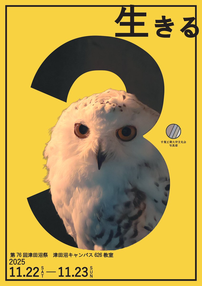 cit_shashin_bu's tweet image. 〜津田沼祭 写真展示のお知らせ〜

11/22(10:00〜18:00)
11/23(10:00〜17:30)
の津田沼祭の期間で
津田沼キャンパス6号館626教室にて写真の展示を行います！

テーマは「生きる」です

私たちなりの「生きる」を写真の中で表現しました

皆様のご来場お待ちしております！