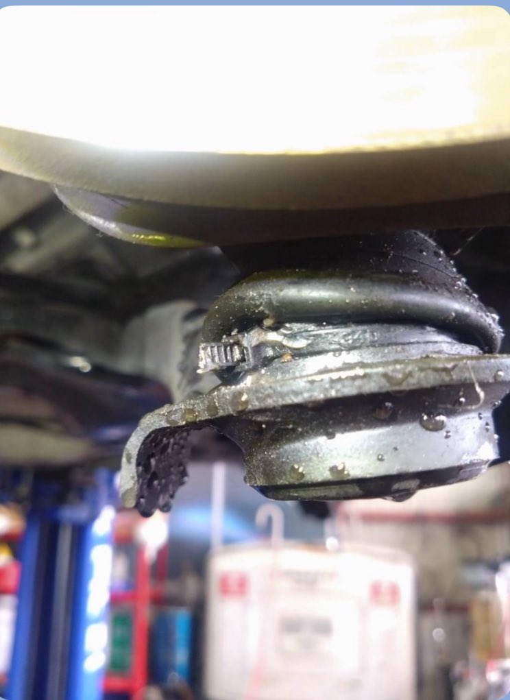 mrym_tms's tweet image. ノーコメントで