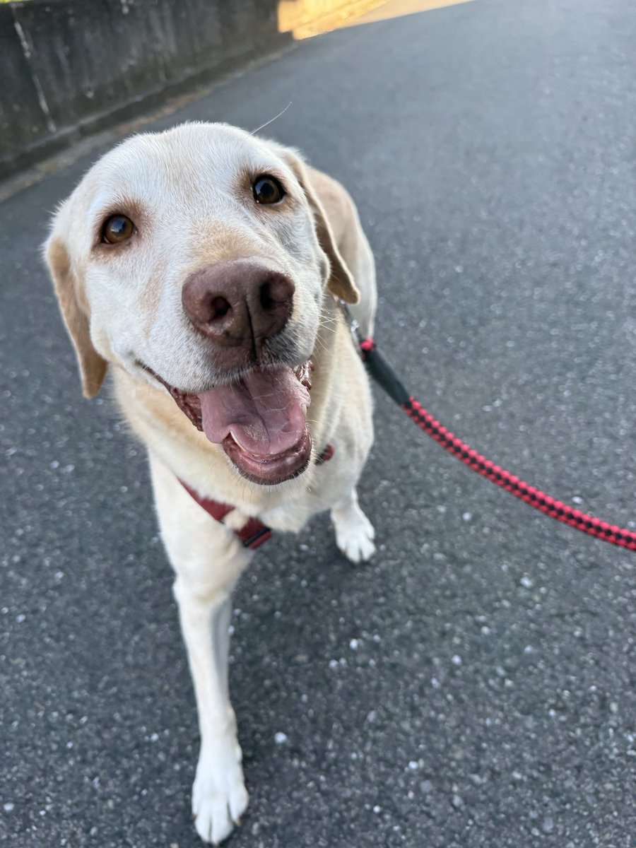 みーな 最初はなんで父上じゃないんだ‥ってしてたけど、家に着く頃には楽しく