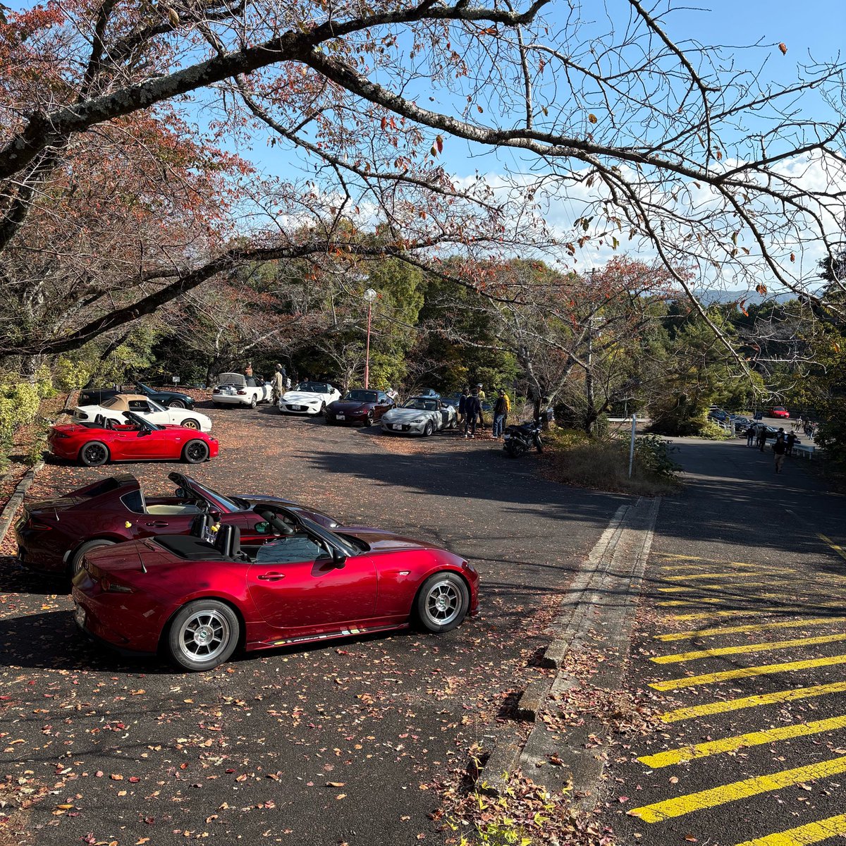 MindRoadster's tweet photo. 先日のおはくらは11月にしては風がなくて暖かく話すには絶好の機会でした。おかげで定点撮影の時間を忘れて参加者が帰り始めるころに慌てて撮影。今月は駐車場が9割程埋まってました。 https://t.co/xjadLwjwwf