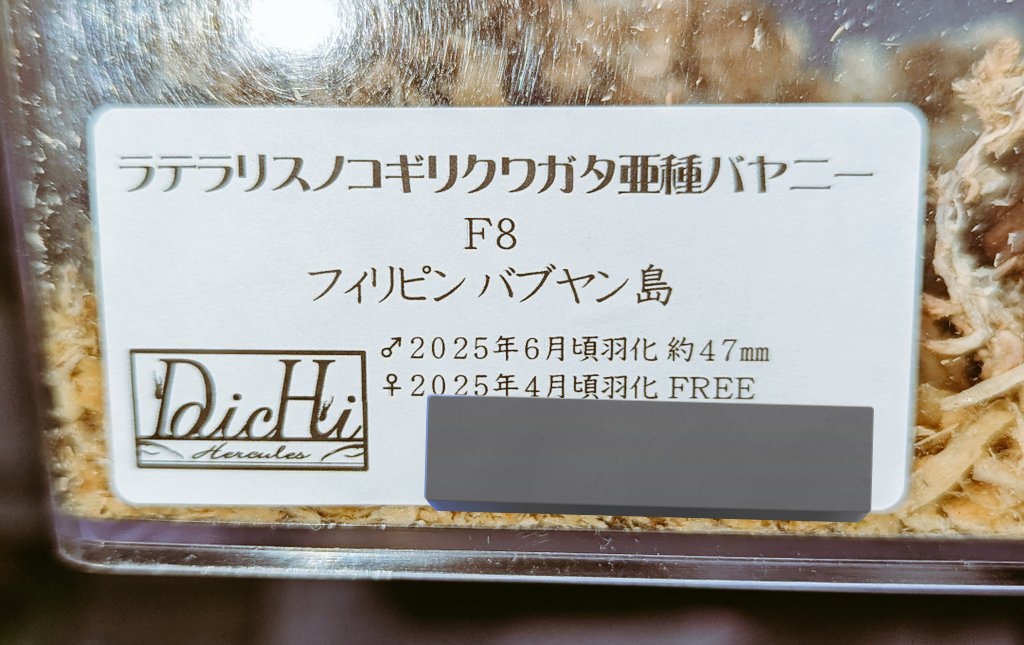 ローゼンYUI (@poruteri64) / Posts / X