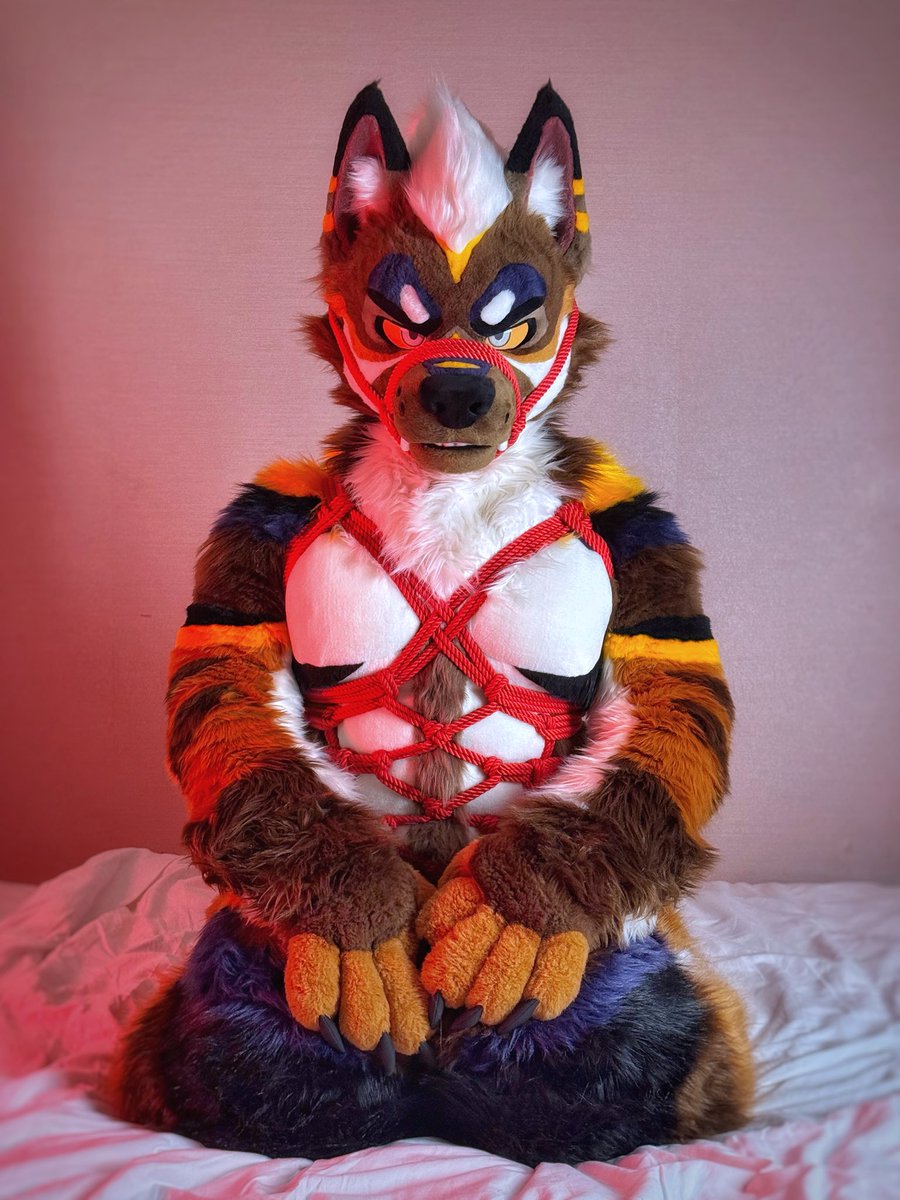 歐帕魯 (オパル/OPaLu) ➡️ UTFG / OFFF 2026 tweet media