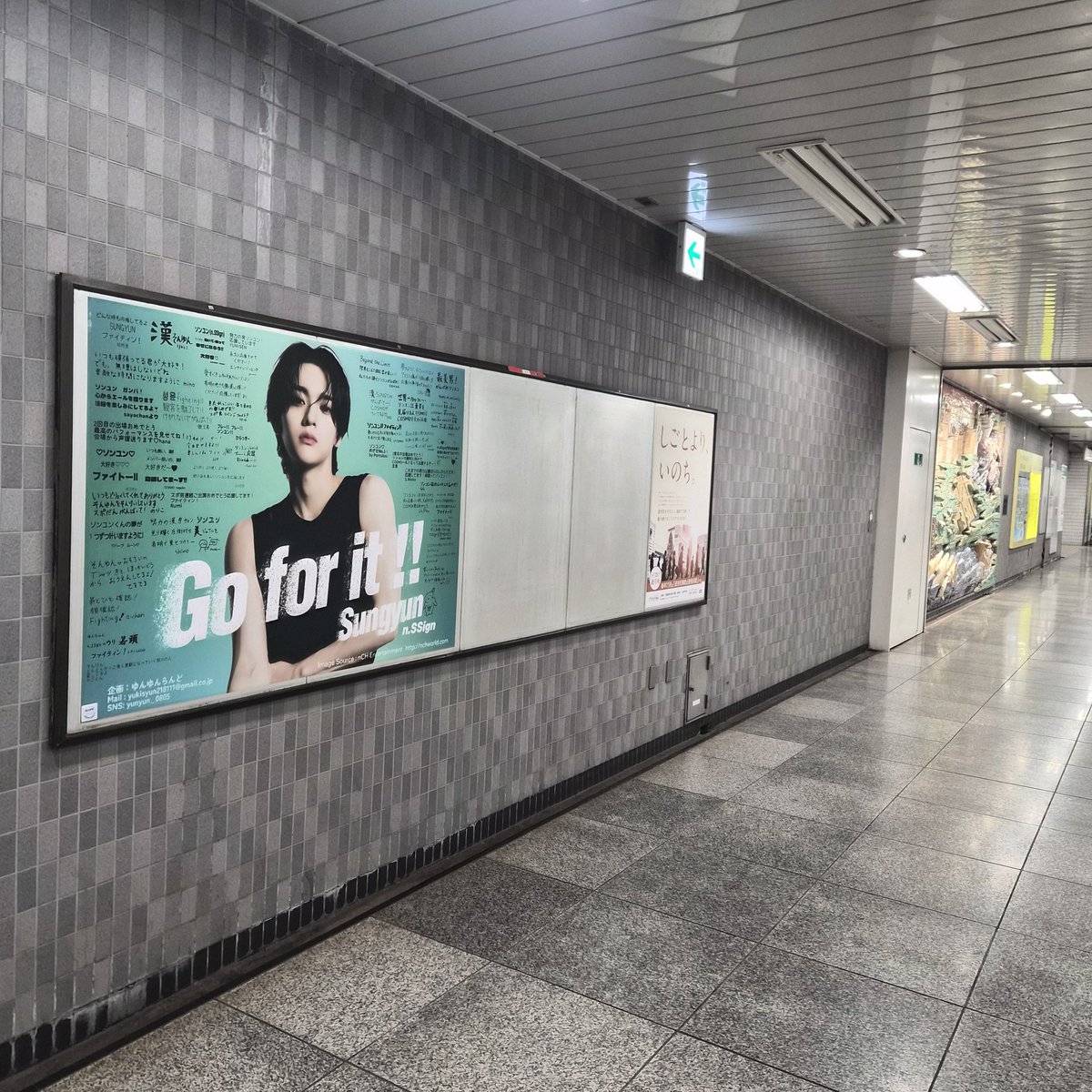 Go for it!
漢ソンユン
君ならできる🫰💚
#ソンユン #nSSign