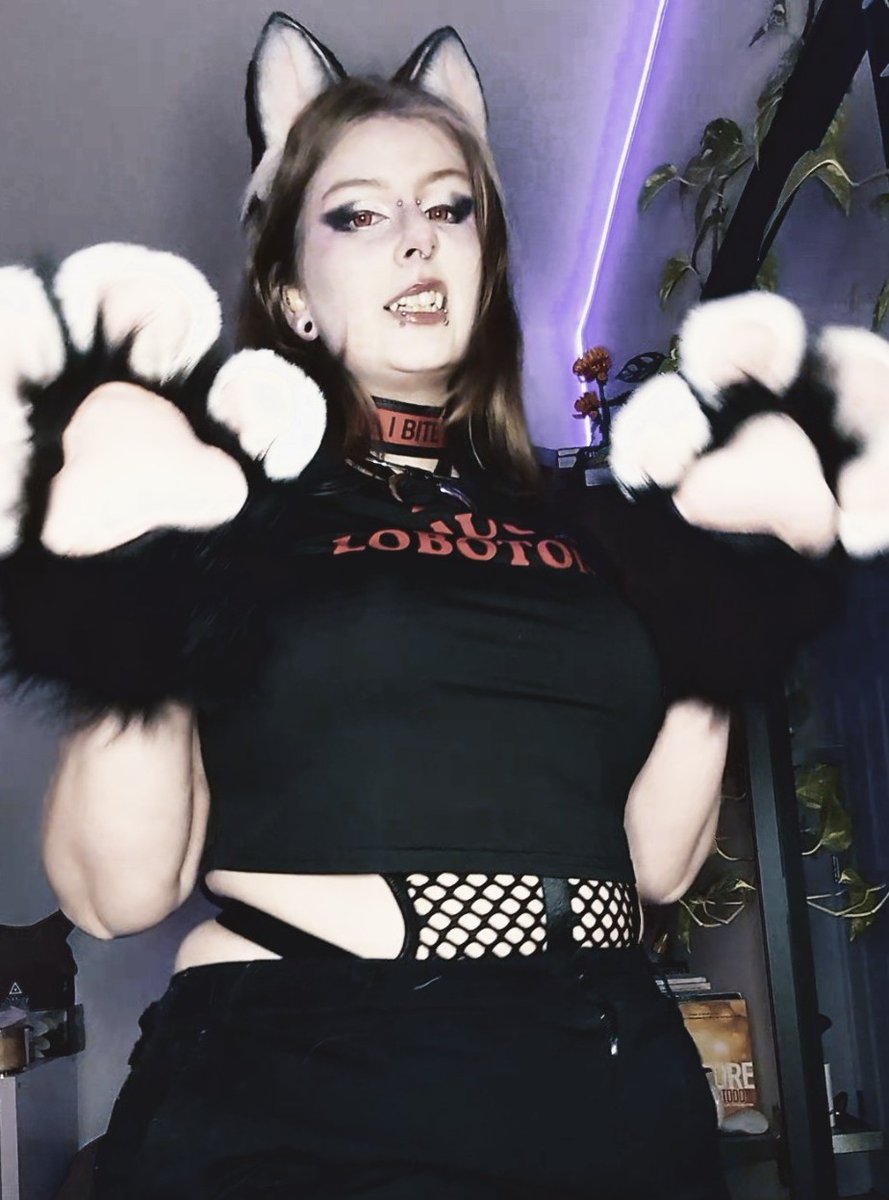 MNekosis's tweet photo. Meow ?

#egirl #catgirl #furrygirl #catpaws #catears https://t.co/9gMt6vXRS1