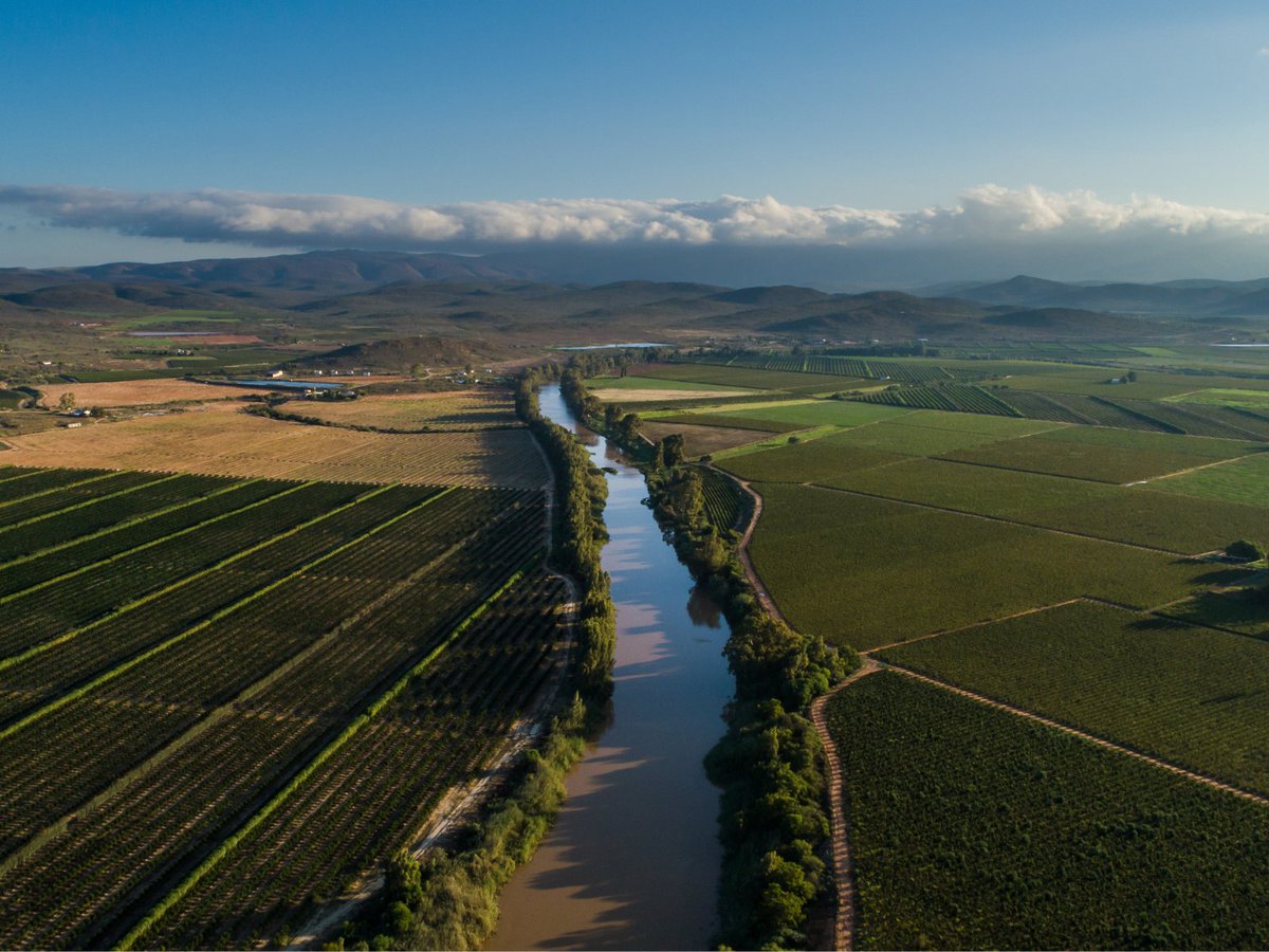💧 Strong water governance begins at municipal level.

In a new article, Dr Harrison Pienaar (<a href="/WaterInstSA/">@WaterInstituteSA</a> Chairman) explores how better planning, partnerships &amp; accountability can strengthen SA’s water future.

Read more: t.ly/PHOrD