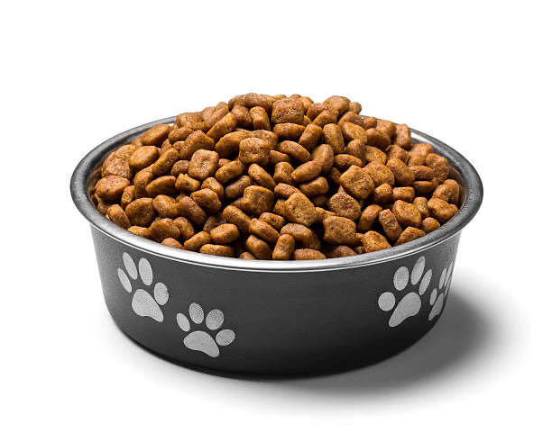 LibsofFurry's tweet image. Here’s your food (sounds like I’m dominating the pup hooders 😈)