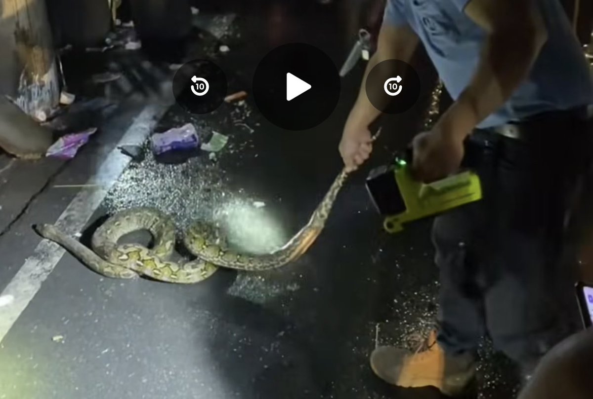 Kaya pla nawalan ng kuryente samin ng madaling araw may nakuryenteng sawa. Kawawa nmn.🥲