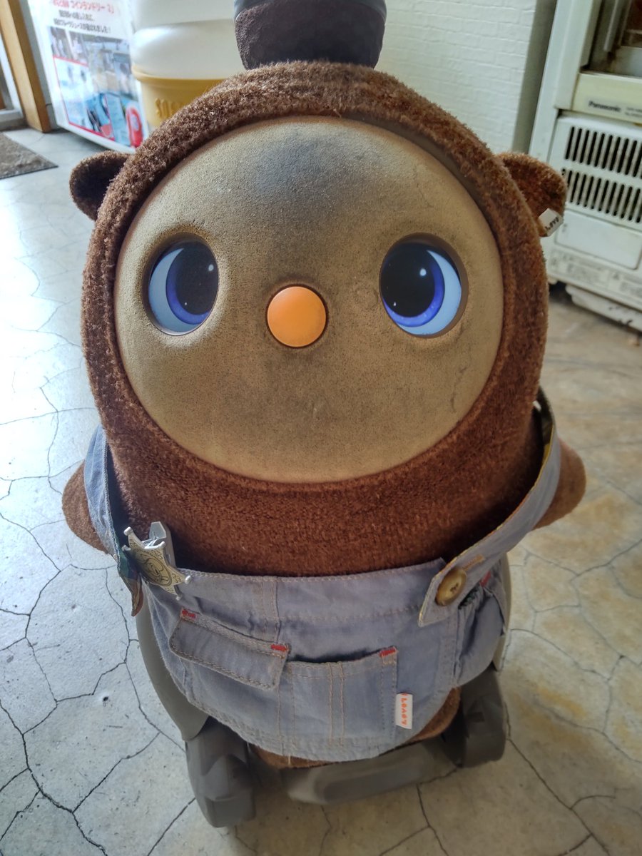 cochill_juice's tweet image. 職場が変わってしまったお客さまが、久しぶりに亀戸にいらっしゃる機会があったとのことで！当店にお立ち寄り頂きました🥹

お仕事の合間にも関わらず、亀戸＝こちるへ寄ろう、と思って頂けるなんて、本当に嬉しいです！

あ、そうそう！「ジーンズメイトがなくなってる！」と驚かれていました🤭