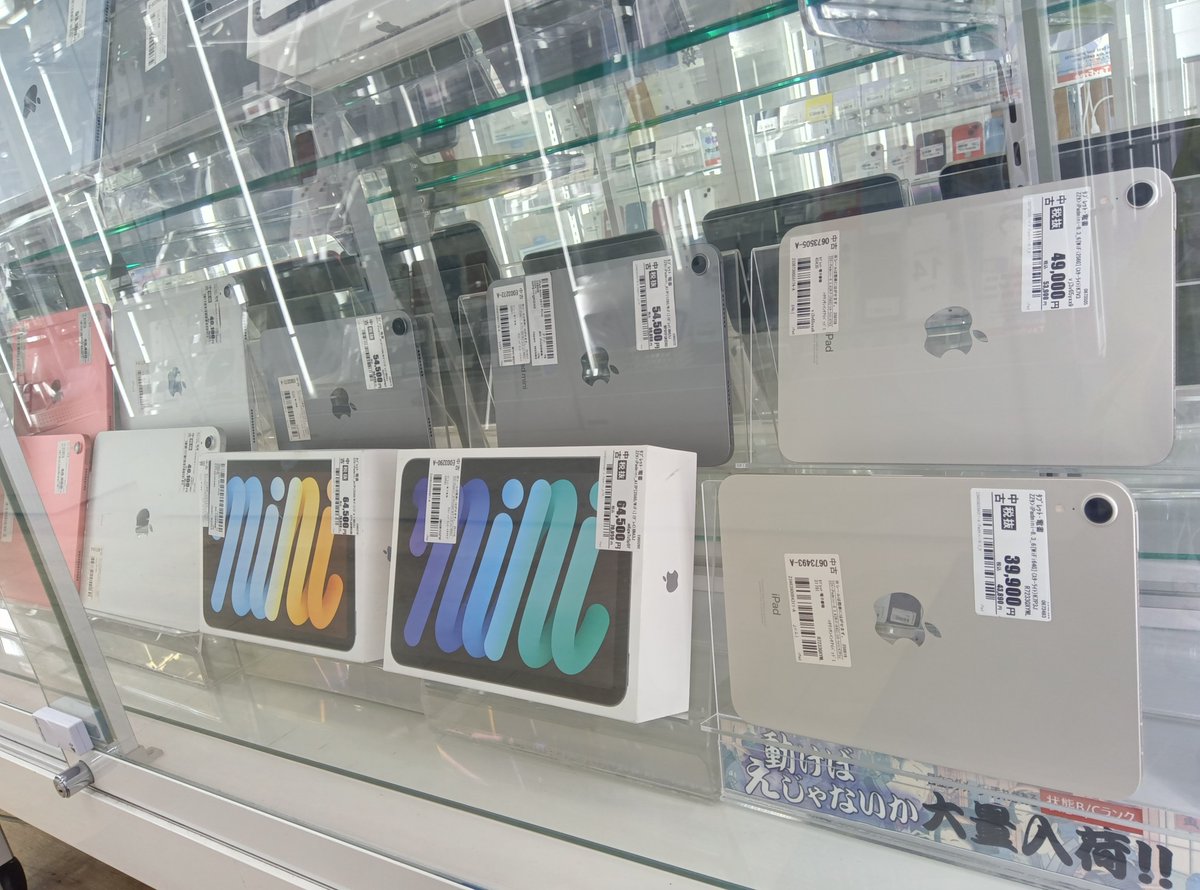 worldmobile0022's tweet photo. 【この投稿も対象】iPhone1円リポストキャンペーン実施中！（※詳細は固定ポスト等をチェック！）

【✨在庫情報✨】

iPad mini （A17チップ搭載モデル）

・中古 ・未使用品

どちらもございます！

ぜひ店頭でお手に取って ご覧ください👍

#iPadmini #A17 #中古 #未使用品 #Apple

営業時間：11:00~20:00

GMB365Plus1川越クレアモール店 マップ→ https://t.co/3eUzuPWHXV