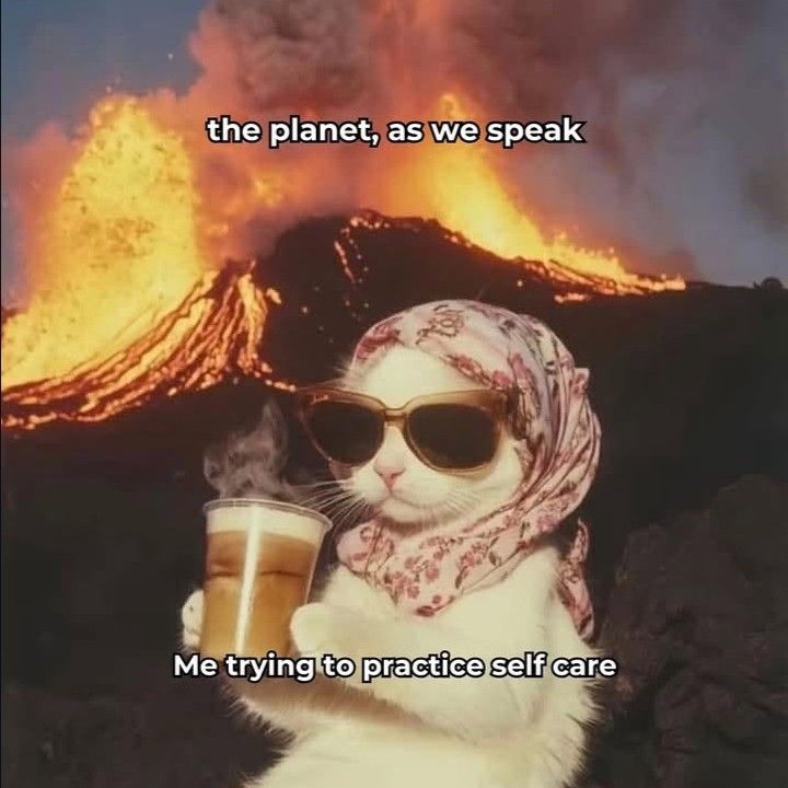 KaeliVanfossen's tweet image. pov my gen x mind when i unplug all my brainrot digitals for a few hours to go pretend like i am back in my happy antisocial artsyfartsy analog bubble with my record player and paintings like the world is okey dokey totes fine. ☺️💕