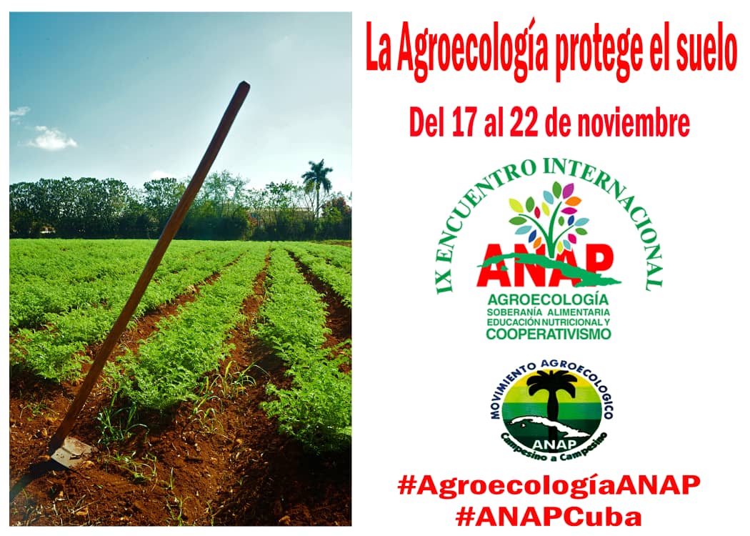 La Agroecología protege el suelo y el medio ambiente."
Hoy 17 de noviembre de 2025, apertura del IX Encuentro Internacional de Agroecología, Soberanía Alimentaria, Educación Nutricional y Cooperativismo.
#AgriculturaCubana #AgroecologíaCuba